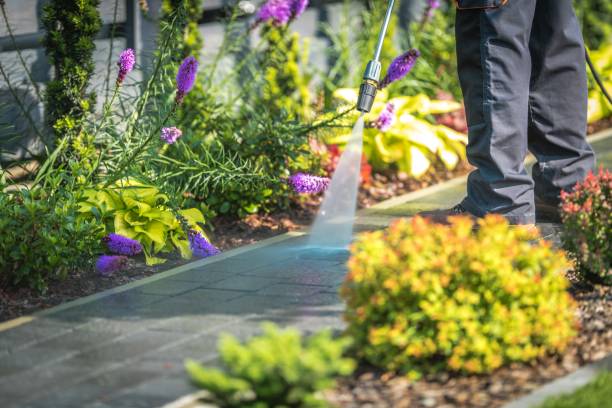 Reliable Irwindale, CA Pressure Washing Services Solutions